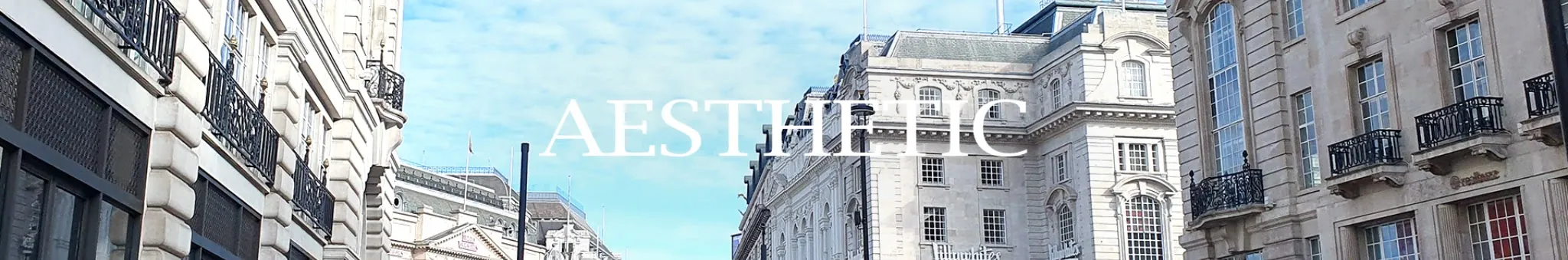 AESTHETIC's BANNER