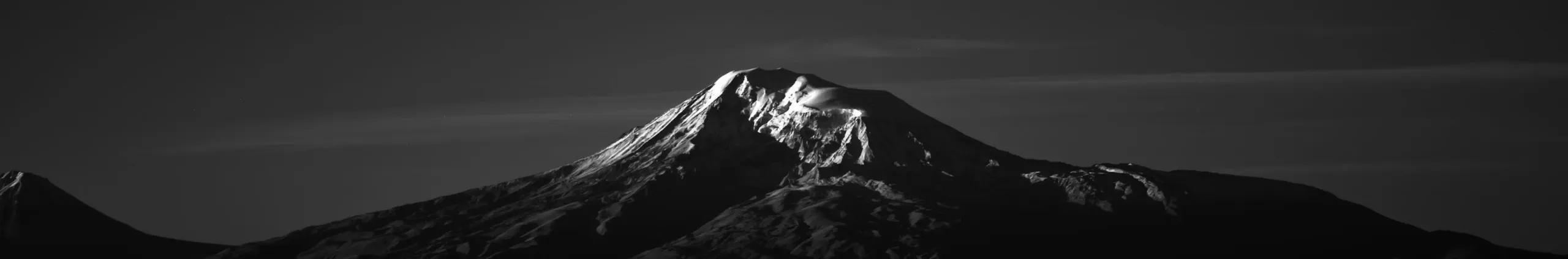 USER BANNER