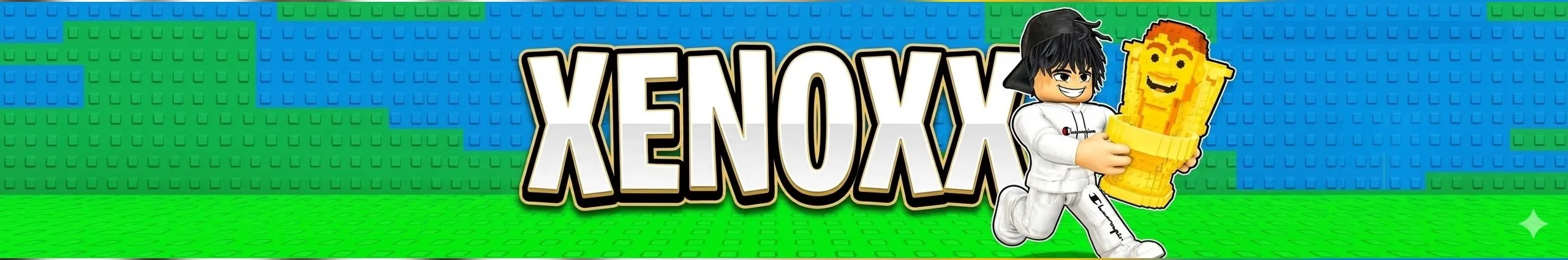 USER BANNER