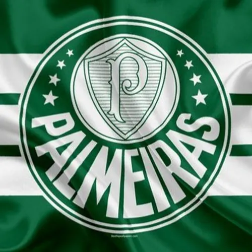 PALMEIRASNEWS