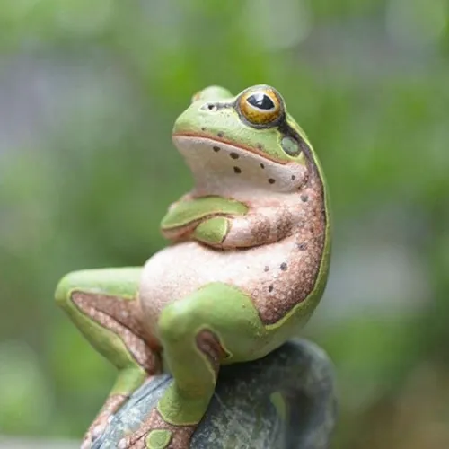 Mundo Animal Curioso