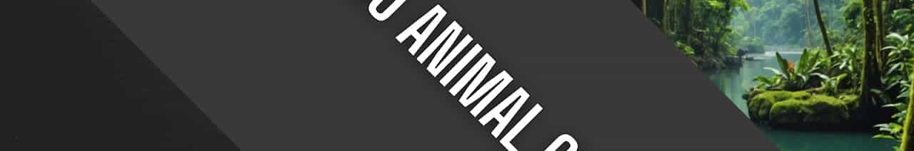 Mundo Animal Curioso