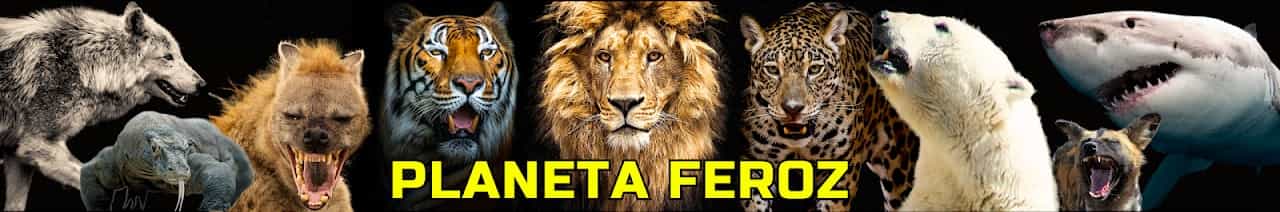 PLANETA FEROZ