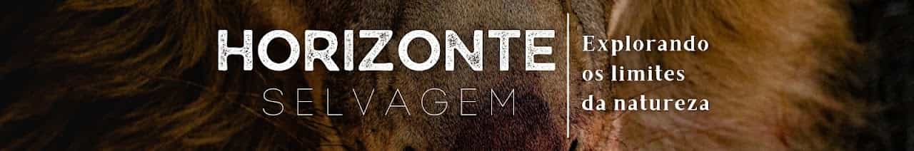 Horizonte Selvagem - Documentários