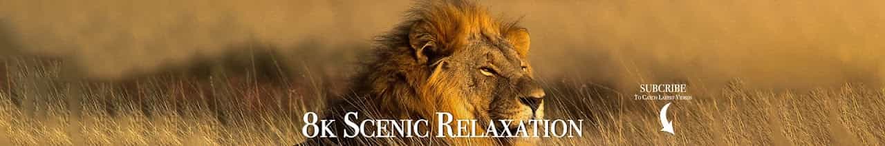 8K Scenic Relaxation