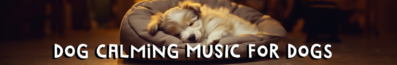 Música de Cura - Dog Music