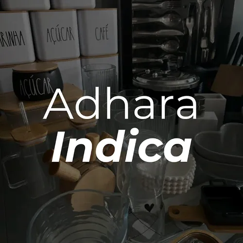 Adhara Indica