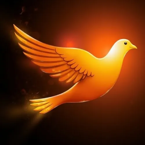 Seguindo o Evangelho 