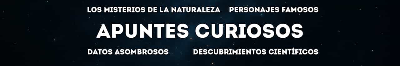 Apuntes Curiosos