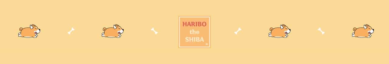 Haribo the Shiba
