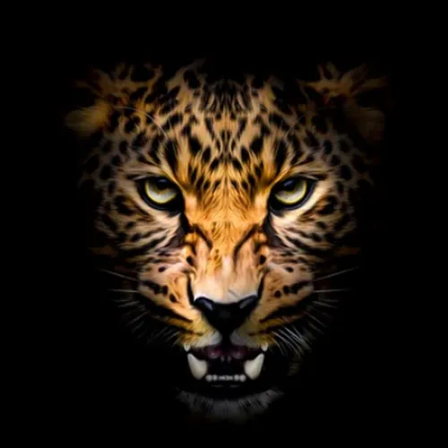 Santuário Natural - Documentários de Animais