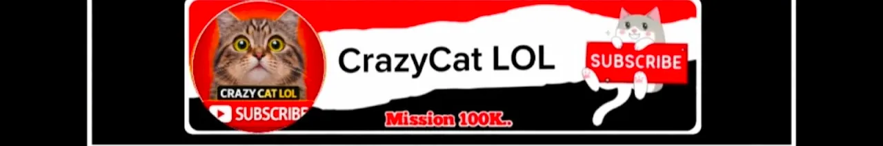 Crazy Cat LOL
