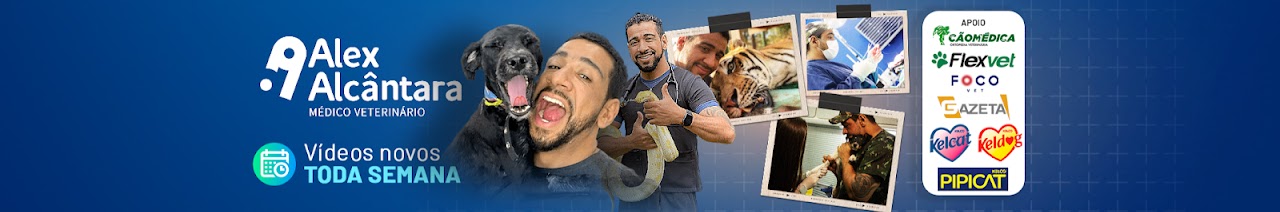 Veterinário Alex de Alcântara