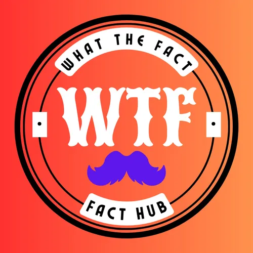 What The Fact’