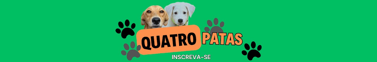 Quatro Patas