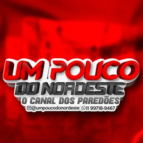 UM POUCO DO NORDESTE