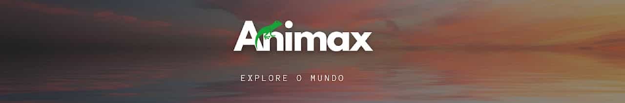 AnimaxTV