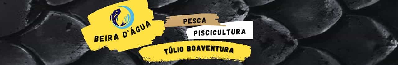 Beira d'água (Tulio Boaventura)