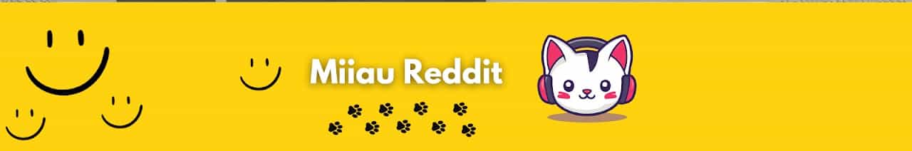 Miiau Reddit