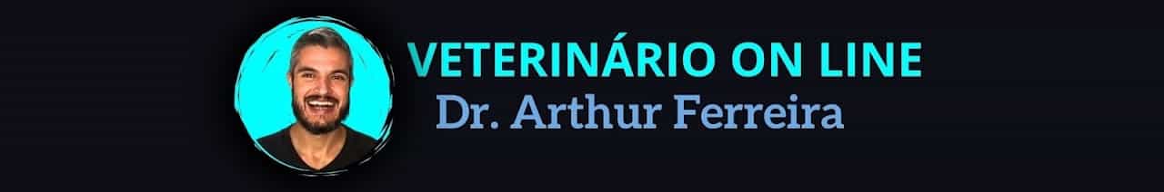 Dr Arthur Veterinário On Line 24h