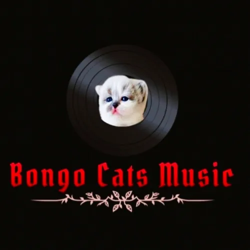 Bongo Cats Music