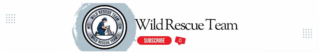 Wild Rescue Team