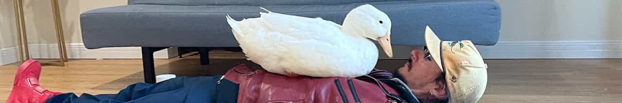 I took my duck to...