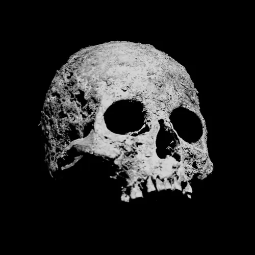 Ossos Perdidos