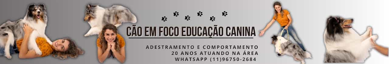 Cão em Foco Educação Canina