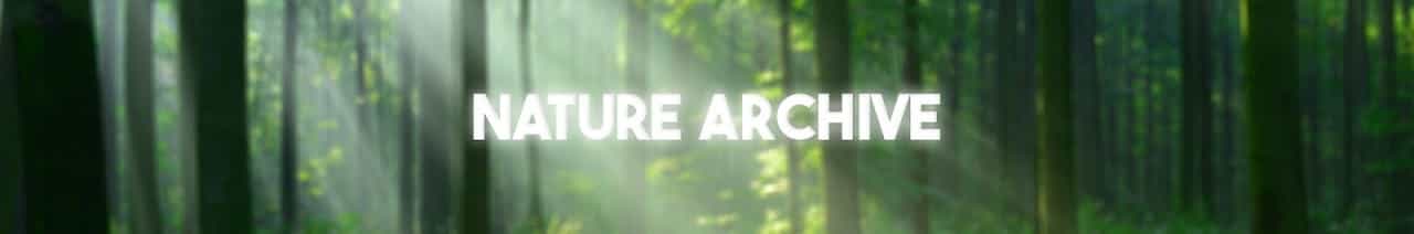 Nature Archive