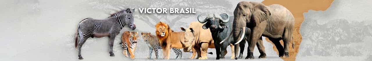 Victor Brasil