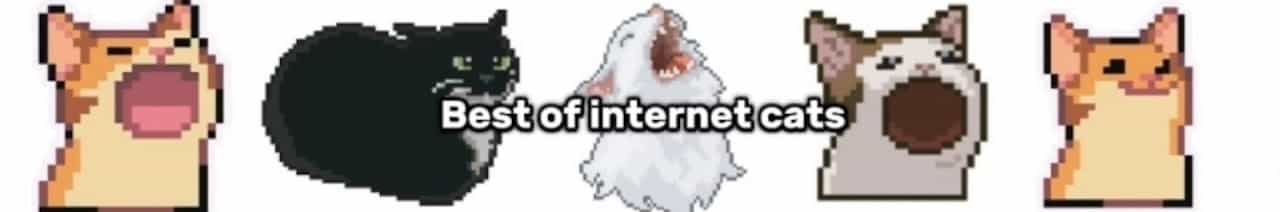 DailyDoseOfInternetCats