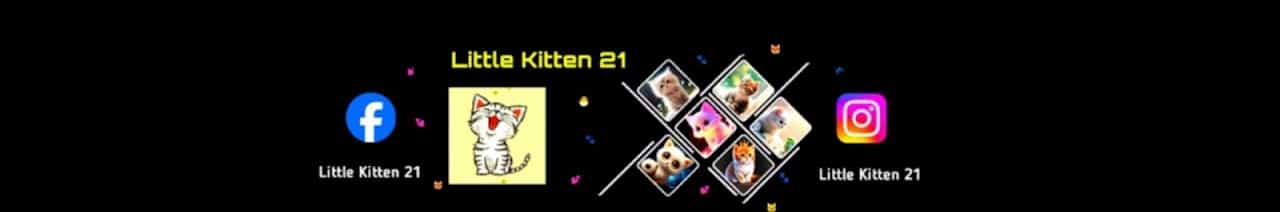 Little Kitten 21