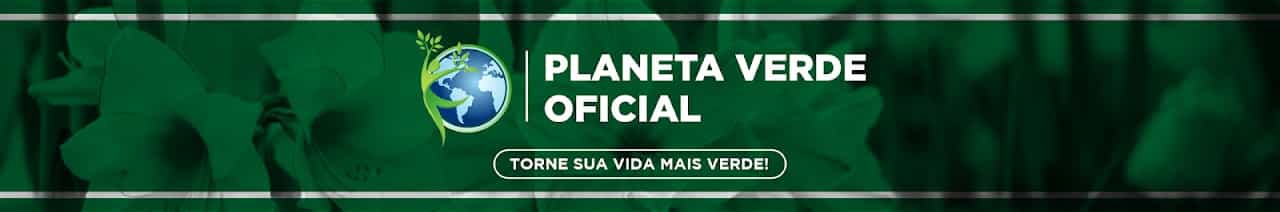 Planeta Verde Oficial