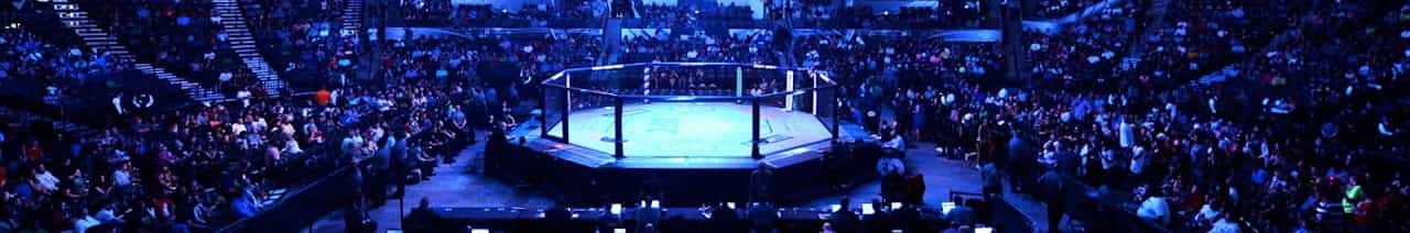 Fight Flow Chronicles