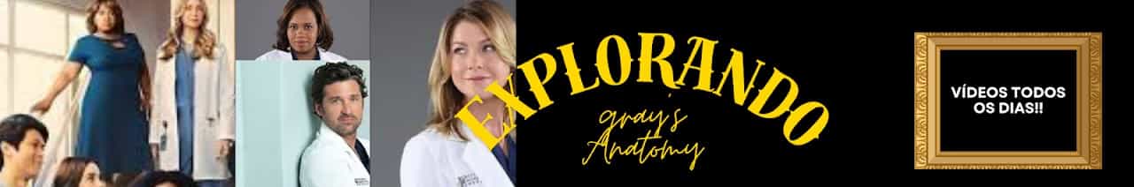 Explorando Grey's Anatomy