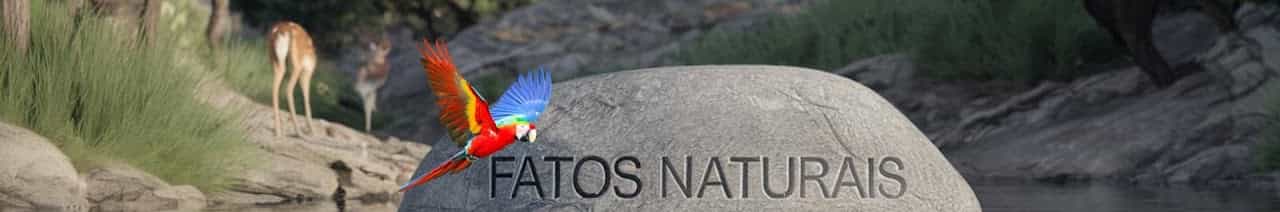 Fatos Naturais 
