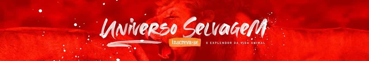 Universo Selvagem