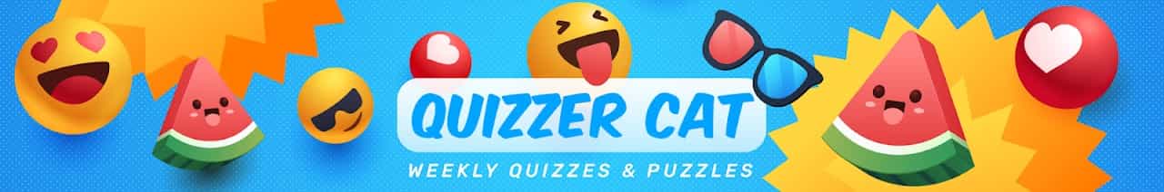 QUIZZER CAT