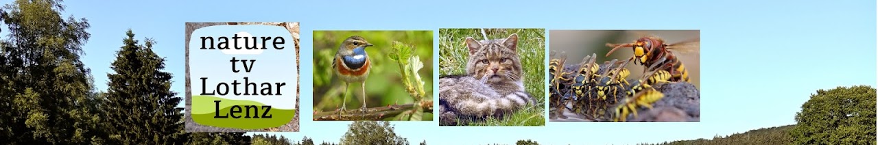 nature tv Lothar Lenz