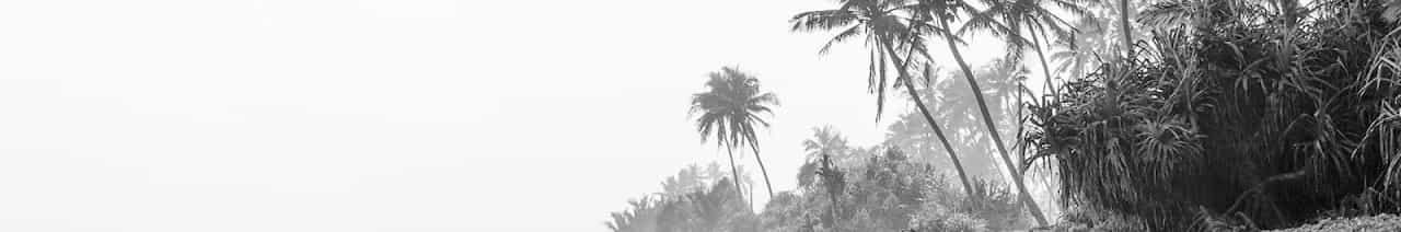 The Good Life Radio x Sensual Musique