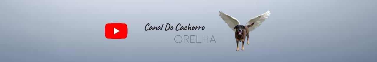 Canal Do Cachorro Orelha