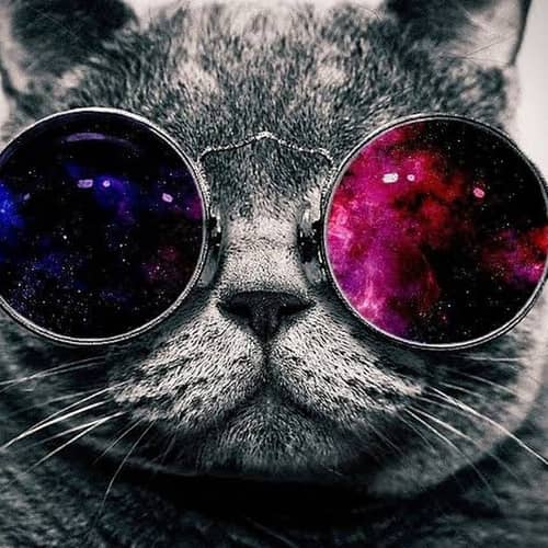 Ozan nacar