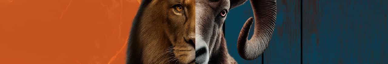 Forjados com propósito