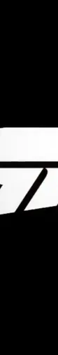 ForzaRush