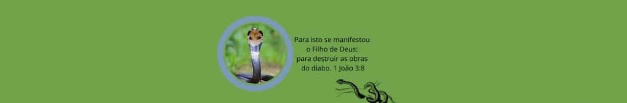 # CANAL # INIMIGO DÁS LÍNGUAS DE TRAPO🐍