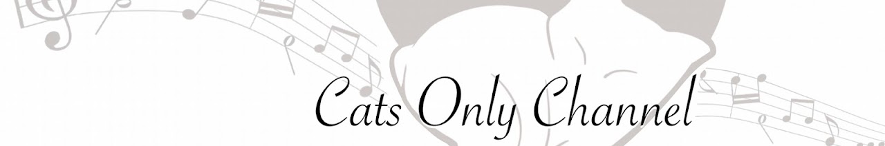Cats Only Channel