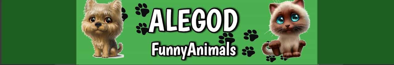 Alegod - Funny animals