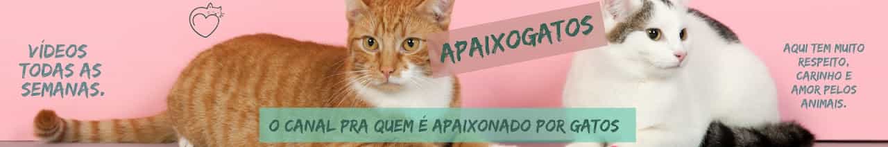 ApaixoGatos