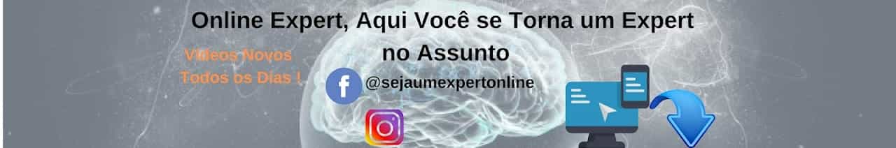 Online Expert